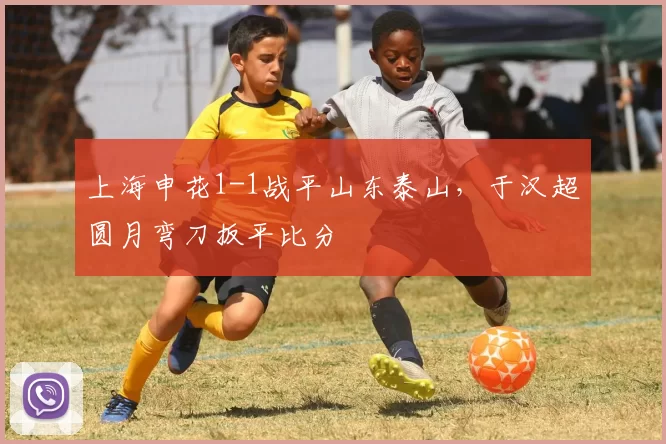 上海申花1-1战平山东泰山，于汉超圆月弯刀扳平比分